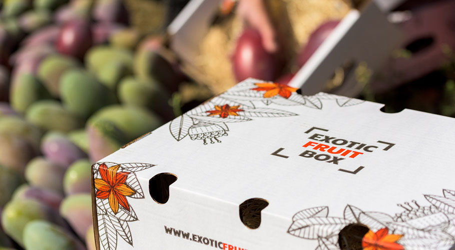 Caja de fruta: Exotic Fruit Box