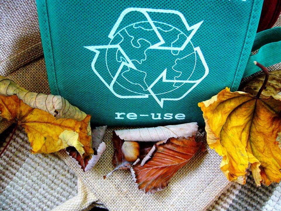 Packaging ecológico de cartón reciclado