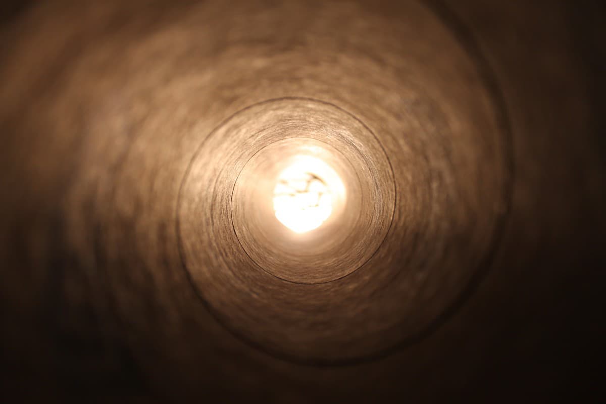 Interior tubo de cartón